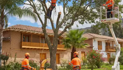 Tree service crew in Wilmington, NC removing a tree for safe, professional property care