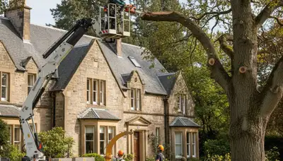 Tree service crew in Wilmington, NC providing professional tree removal and trimming services